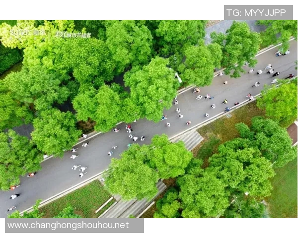 伤兵潮中曙光初现热苏斯回归训练能否助力阿森纳锋线重振 伤兵潮中曙光初现热苏斯回归训练能否助力阿森纳锋线重振